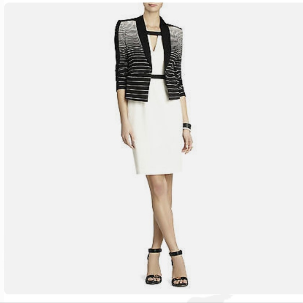 BCBG MaxAzria Black & White Cutout Sexy Dress